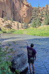 Purple Eco Mush T Shirt