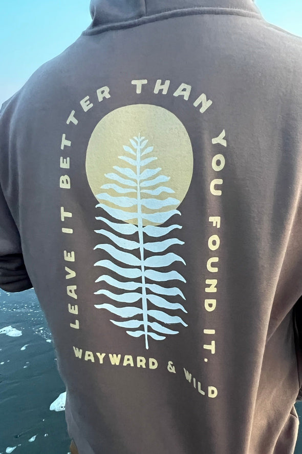 PREORDER Leave it Better than You Found it Hoodie