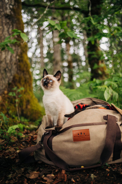Picture of a siamese kitten in a forest sitting inside the tan Canvas Duffel Bag with a Wayward & Wild leather patch on the front