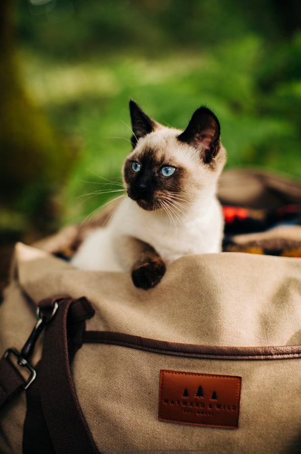Picture of a siamese kitten in a forest sitting inside the tan Canvas Duffel Bag with a Wayward & Wild leather patch on the front